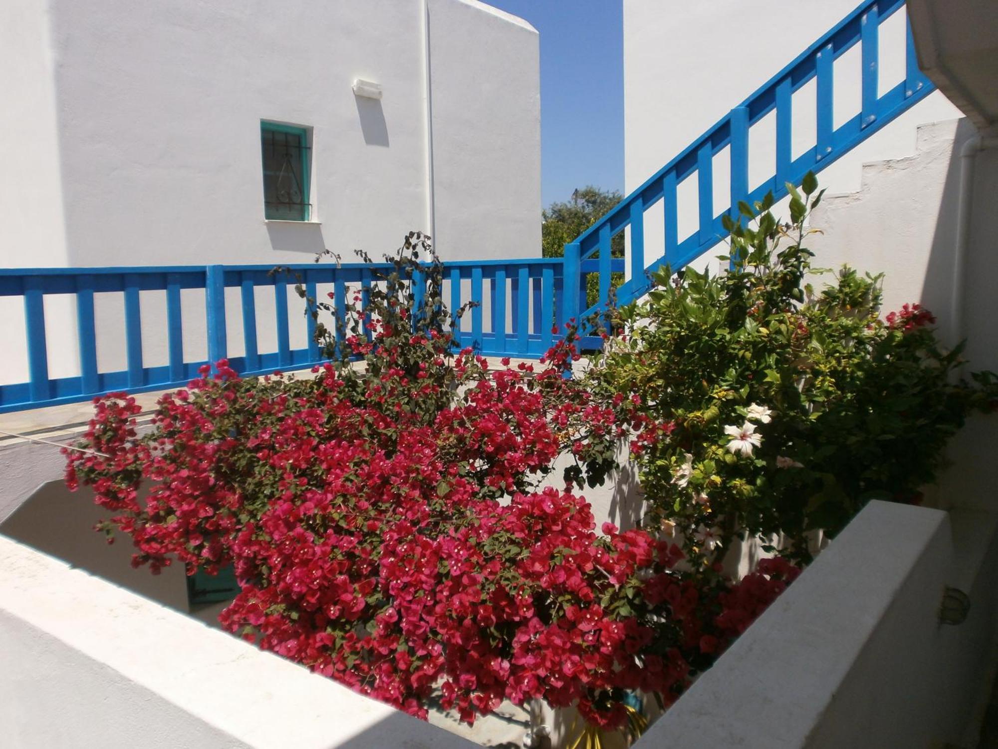 Aegean Village Парікія Номер фото